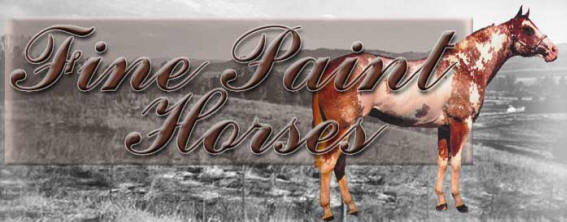 Fine Paint Horses Banner